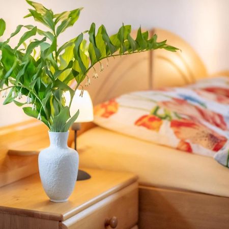Gartentraum, Feuergrill, Kids-Spielwelt, 4Raeume Hartenstein  Kültér fotó