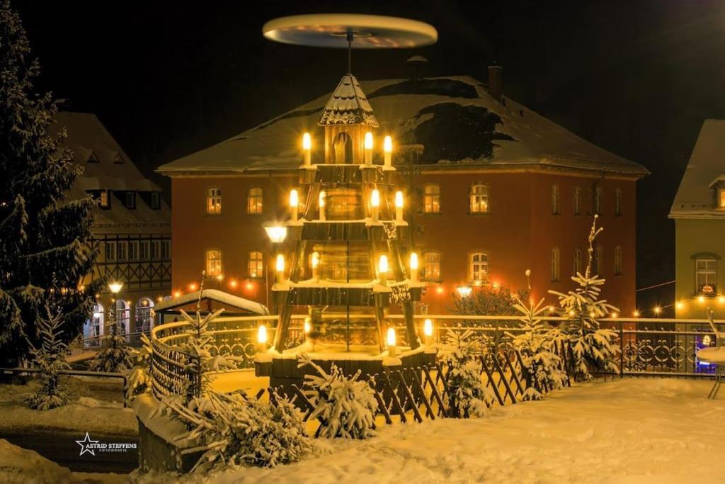 Gartentraum, Feuergrill, Kids-Spielwelt, 4Raeume Hartenstein  Kültér fotó