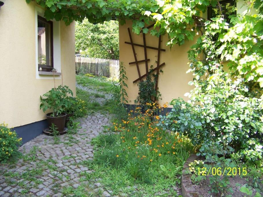 Gartentraum, Feuergrill, Kids-Spielwelt, 4Raeume Hartenstein  Kültér fotó
