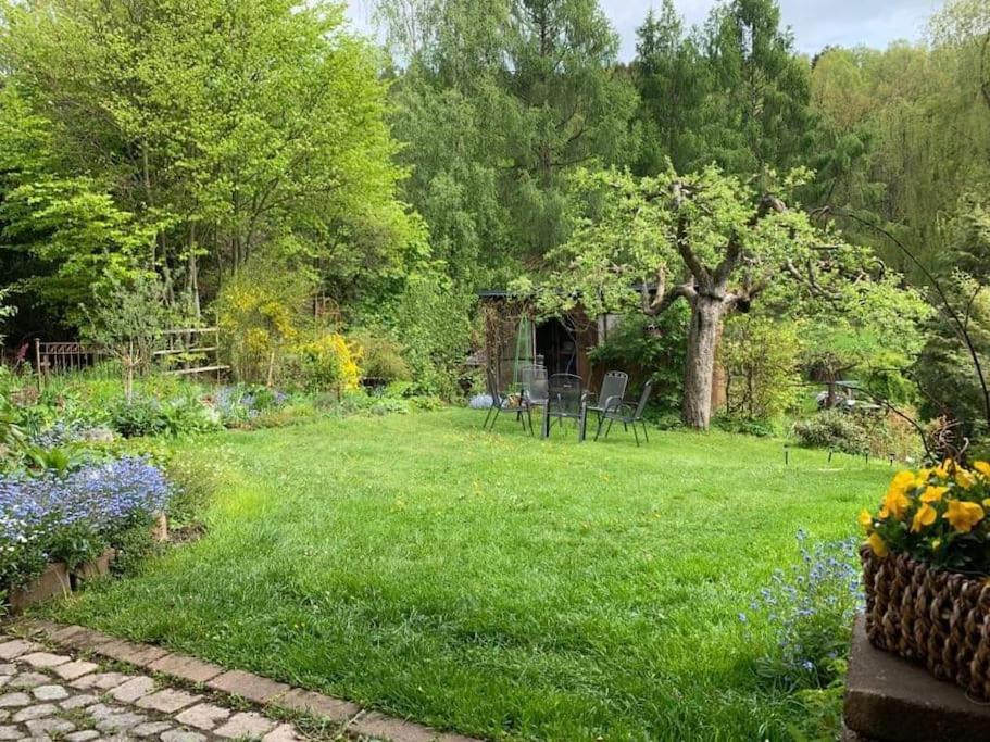 Gartentraum, Feuergrill, Kids-Spielwelt, 4Raeume Hartenstein  Kültér fotó