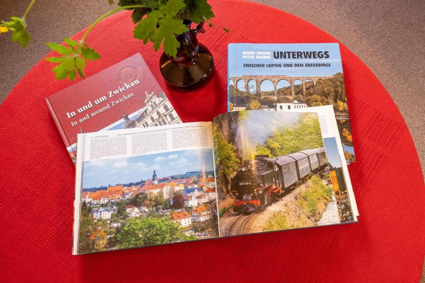 Gartentraum, Feuergrill, Kids-Spielwelt, 4Raeume Hartenstein  Kültér fotó